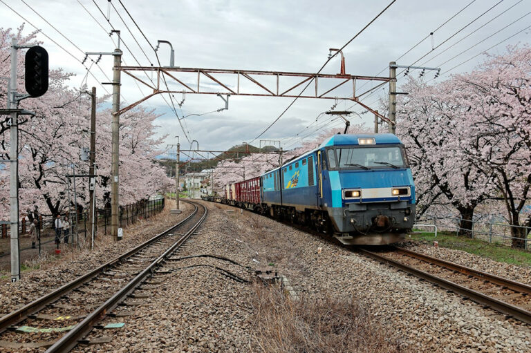 Factors to consider when picking a travel destination