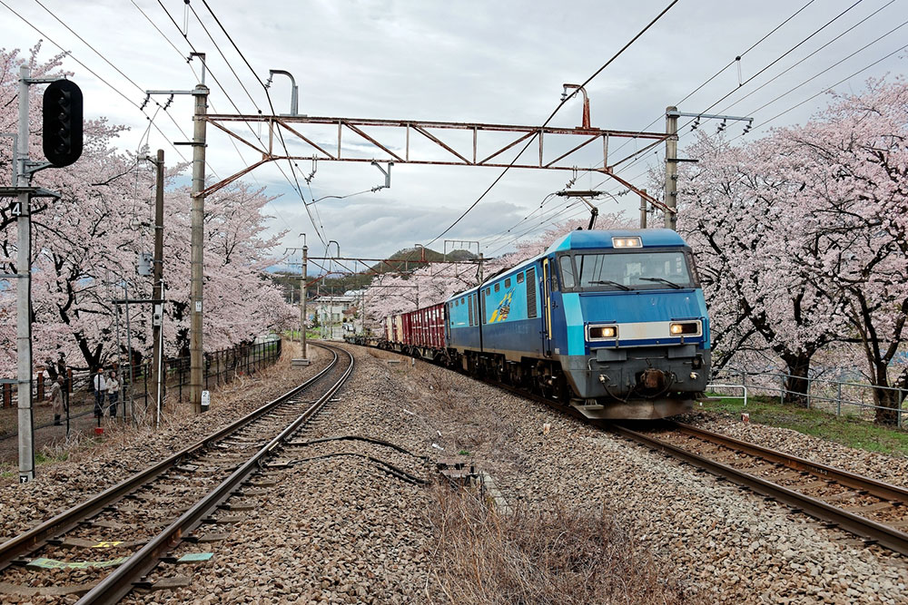 Factors to consider when picking a travel destination