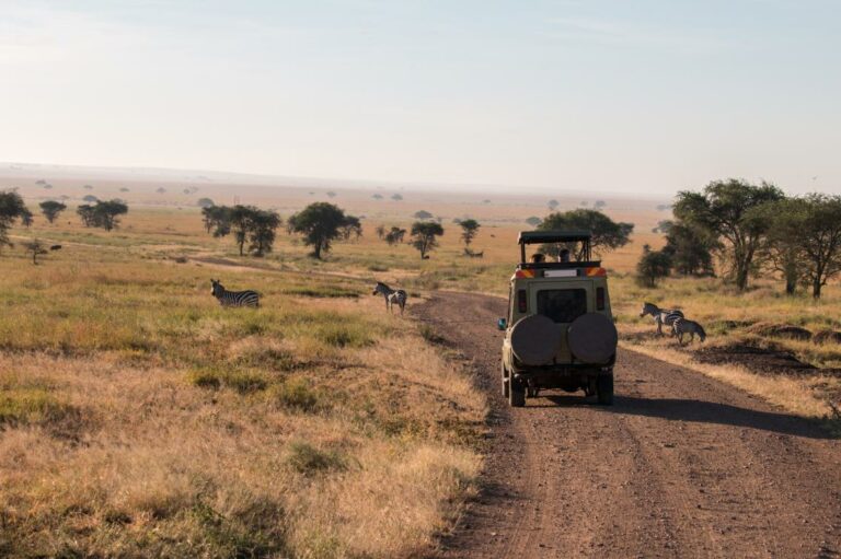 5 popular wildlife safari destinations